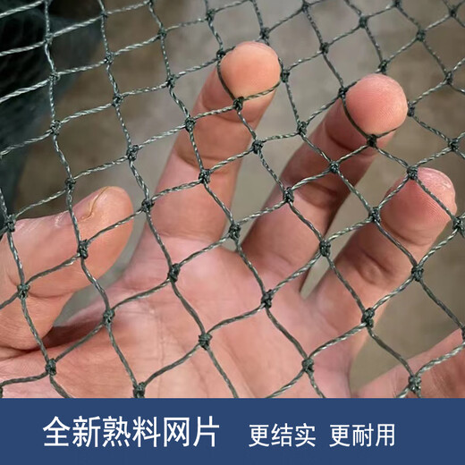 Fish grid 1-finger 2-finger 3-finger 4-finger fishing net fishing net fish pond pulling net scraping fish net trawling net clear pond partition net 2-finger mesh 12 strands 6 meters high and 40 meters long The unfolded height is 4.2 meters