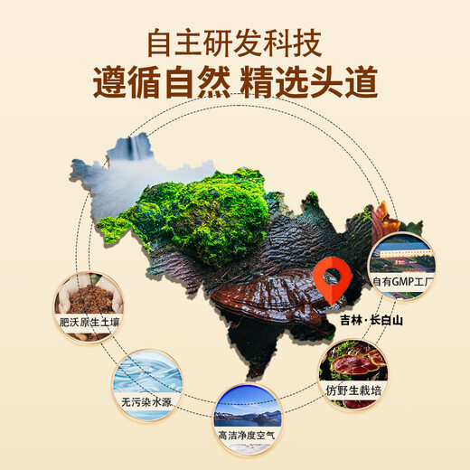 
Beizhitang Breaking Wall Ganoderma lucidum Spore Powder Changbaishan Ganoderma lucidum Extract Triterpene Spore Oil Soft Capsules Enhance Immunity Health Products Ganoderma lucidum Breaking Wall Spore Powder 120g (Fifth Generation Concentrated Type)