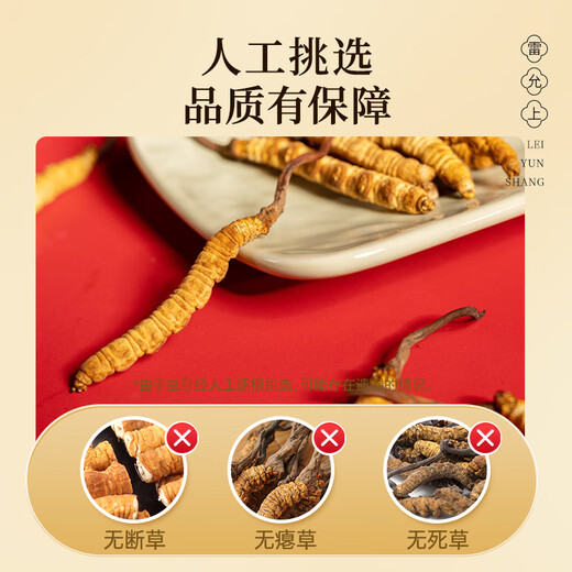 Lei Yunshang [Official] Cordyceps Sinensis Высококачественные подарочные коробки Cordyceps для подарков старейшин для здоровья и высококлассных подарков для других [Подарки для благородных людей] Cordyceps 5 Roots/G 10G Около 50 корней