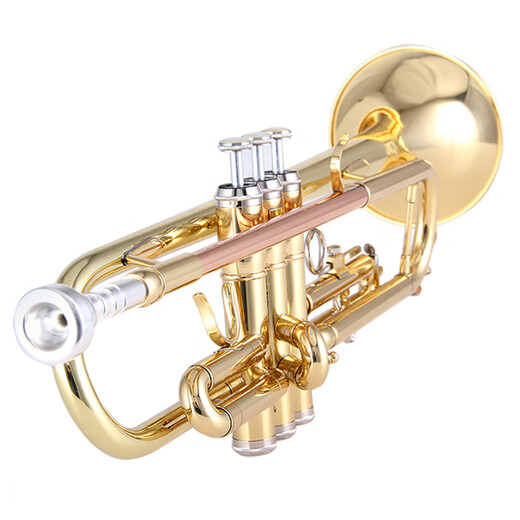 Mammoth Mammoth B-Flat Trompete Instrument Messinginstrument Anfänger Spielen Grade Exam Westra ITR-600