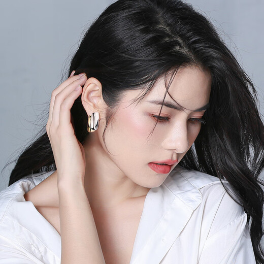 Qlady niche unique earrings for women 2025 new temperament high-end earrings for women silver needle light luxury earrings birthday gift