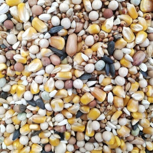 New pigeon food nutrition contains corn 10kg bird food homing pigeon white adult young pigeon ornamental pigeon corn-free pigeon food 20Jin Jin is equal to 0.5 kg