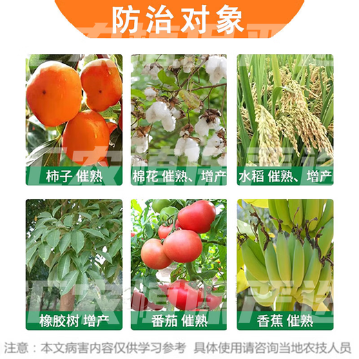 Guoguang 40% ethephon ripening agent tomato cotton persimmon rice banana mango rubber tree ripening and yield increasing regulator 1000g*1