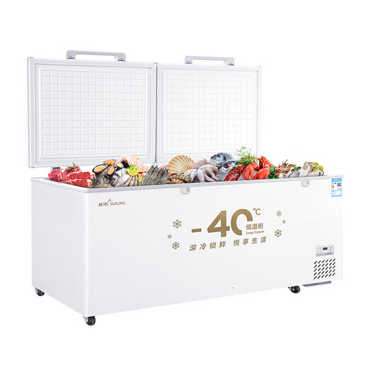 Congélateur suiling commercial congélateur grande capacité réfrigérateur horizontal réfrigérateur convertible réfrigérateur commercial réfrigérateur restaurant stand gard stand hôtel cuisine adaptée au réfrigérateur commercial - 40 / niveau d'efficacité énergétique / nouvellement lancé BD-828DW
