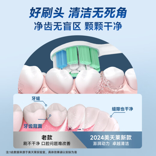 美天莱适用飞利浦HX6616/51/50/6610/6631/6620/6622/6630/32电动牙刷头替换菲利普 C2-清洁菌斑型 中软毛 6支