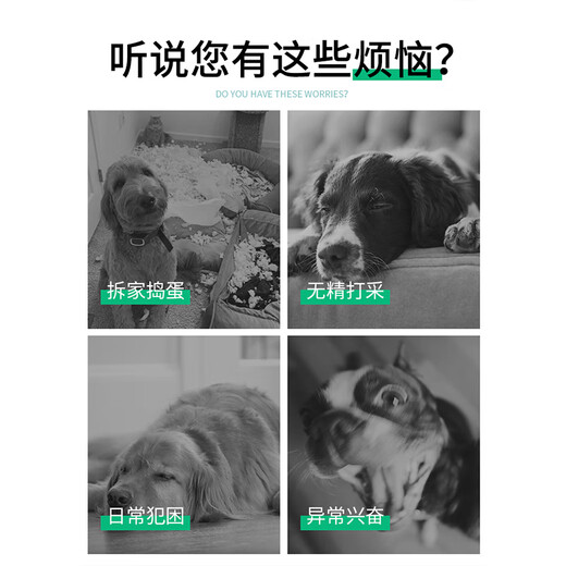 Front dog toy pet outdoor football border collie medium and large dog corgi interactive bite-resistant boredom relief training tour ball