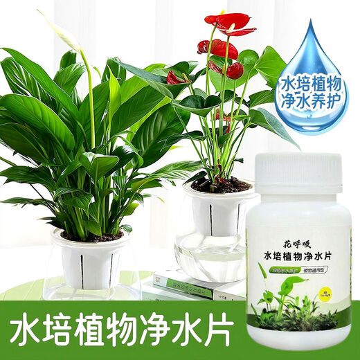 Fresh flowers, rich bamboo nutrient solution, hydroponic plant water purification tablets, disinfection tablets, flower shop purification water quality, hydroponic plant water purification tablets*2 bottles