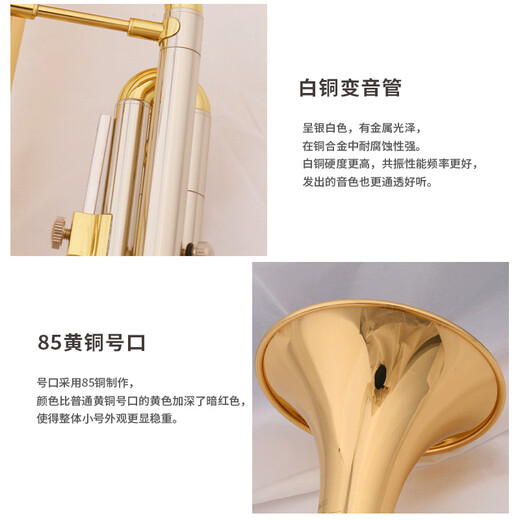 津宝小号乐器降B调JBTR-020小号磷铜吹嘴白铜变音管初学演奏考级教学
