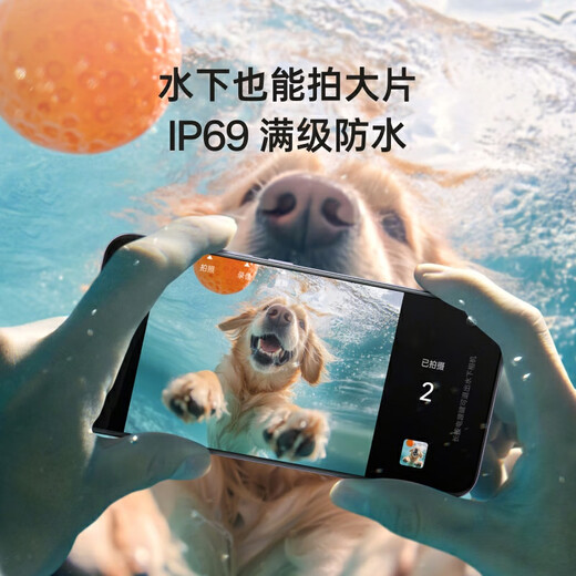 OPPO Reno13 超美小直屏 AI高清实况照片 IP69满级防水 双芯抢网 5G智能拍照手机 蝶蝶紫 12GB+256GB 标准版