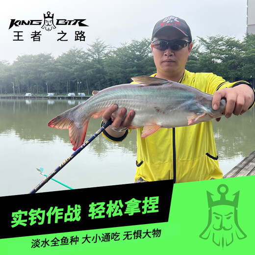 本汀718鲫霸超轻量鲫鱼竿小综合鱼竿手竿钓鱼竿手杆品牌超细超硬 4.8m King-BTR 718CR鲫霸