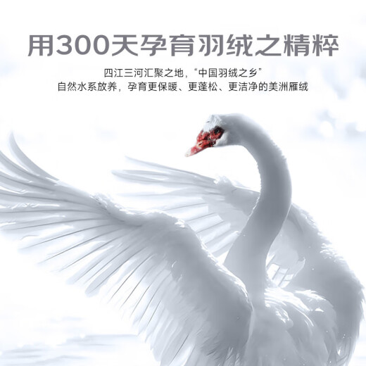 梦洁家纺 北斗 95%美洲雁绒羽绒被 厚被 1050g 220*240cm 蓝 