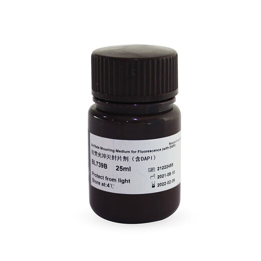 El agente de montaje de extinción antifluorescencia BIOSHARP BL739A/B (que contiene DAPI) se utiliza para el etiquetado nuclear y el montaje de muestras BL739B (25 ml/botella)