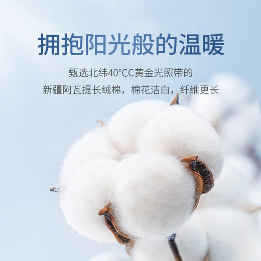 Catman shirt women's V-neck long-sleeved white blouse spring and autumn professional commuting workwear formal shirt white 37