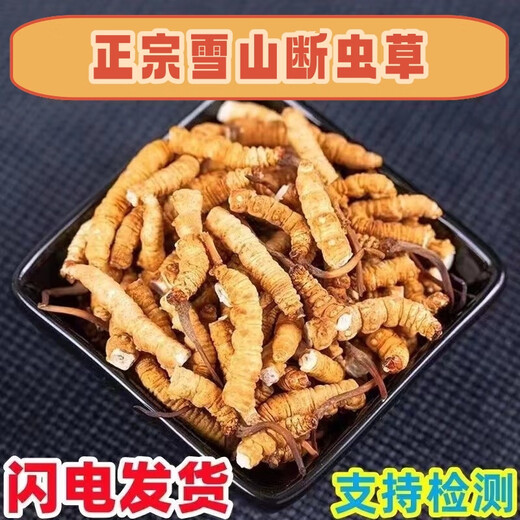 
Luzhangtang authentic Tibetan high-altitude fine cordyceps broken grass cordyceps broken grass Cordyceps self-eating buy 10 grams of 11 grams of 11 grams of buy Duohui Nagqu high-altitude meat festival in Tibet 1 grams of 1 grams of 1 grams of (less careful to shoot)