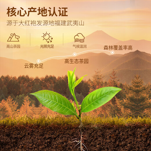 Reminiscing Jiangnan's special Dahongpao tea gift box 225g oolong tea Dragon Boat Festival gift box gift box for parents and elders Tianzun