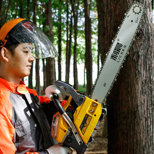 20-inch imported gasoline saw, logging saw, German two-stroke outdoor tree felling machine, woodworking cutting machine, ice saw artifact 5800 chain saw (with 2 German Steel chains)