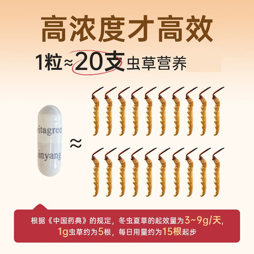 Vita Green Vita Tötung Cordyceps Kapsel 1 Kapsel von Myzel entspricht 20 Cordyceps Lungen nährt Lungen zum Schutz der Lungen und den Nahrungslungen für die Ältesten [bevorzugte Geschenke] 60 Kapseln * 3 + 10 Kapseln * 2 + Geschenktüte