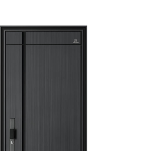 帝卡西DKX-春华秋实2050*960防盗门安全门入户门智能门轻奢户门
