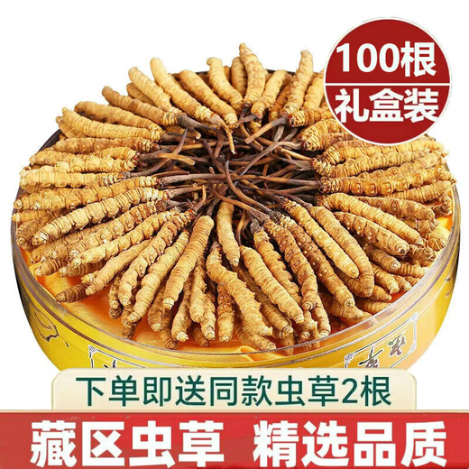 Beijing Tongrentang Quality Cordyceps Lhasa Shipping Authentic Cordyceps Gift Box Pack Broken Cordyceps Dry Gift Gift Box Gift Box 2 1 gram Complete Cordyceps 100 Roots 50 grams in total [Independent Tube Installation]