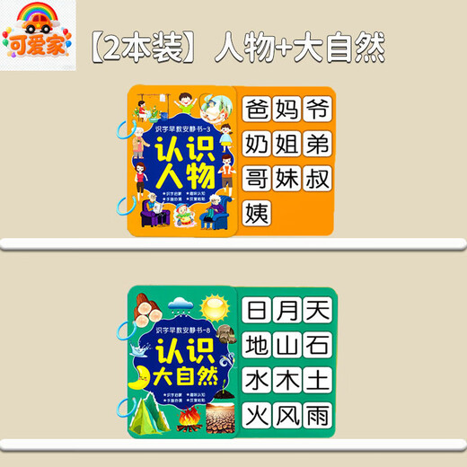 可爱家幼儿识字早教安静书宝宝启蒙粘贴书儿童魔术贴卡片玩具认字卡六一 【2件装】人物+大自然