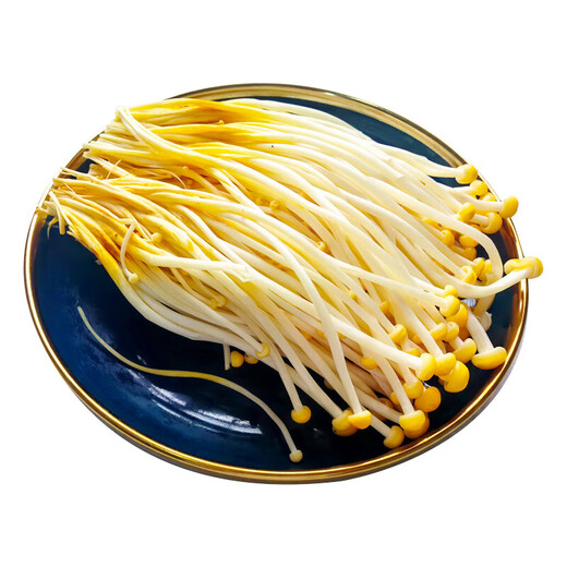 Golden Needle Mushroom 200g