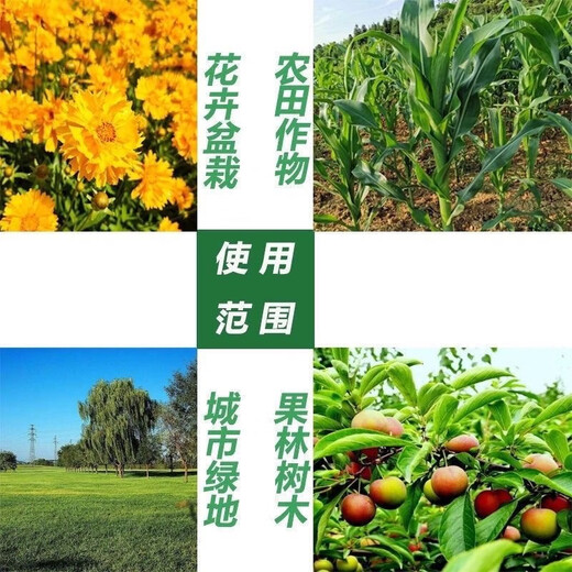 Stanley Genuine Stanley Agricultural Powdered Potassium Sulfate Fertilizer Water-soluble Instant Potash Fertilizer High Potassium Fertilizer Pure Potash Fertilizer Fake One Pays Ten Powder 50 Jin Jin is equal to 0.5 kg One bag of Stanley Powder Instant