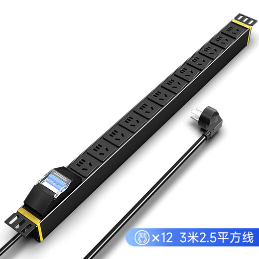 DTVS 大唐卫士PDU机柜插座 按需定制 DS12611 12位10A新国标孔3米2.5平方