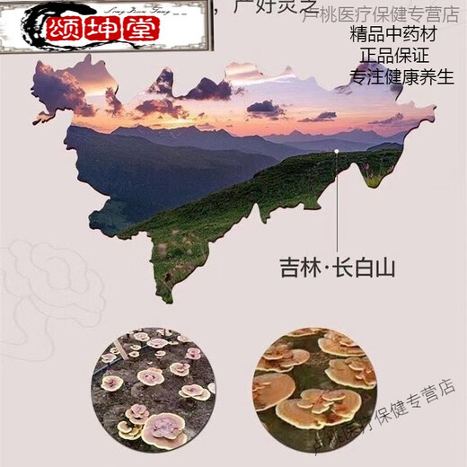 Beijing Tongrentang Ganoderma lucidum spore powder authentic Ganoderma lucidum spore powder head to Tao Ganoderma lucidum spore powder gift box Ganoderma lucidum spore powder Changbaishan 500g pack [Changbaishan Ganoderma lucidum spore powder]