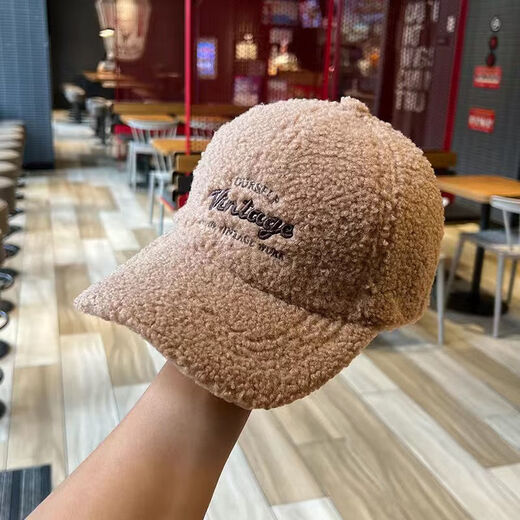 Yinqi Starling Lamb Wool Baseball Cap Women's 2025 New Autumn and Winter Fashionable Warm Thick Peaked Cap Showing Face Small Plush Hat Brown One Size