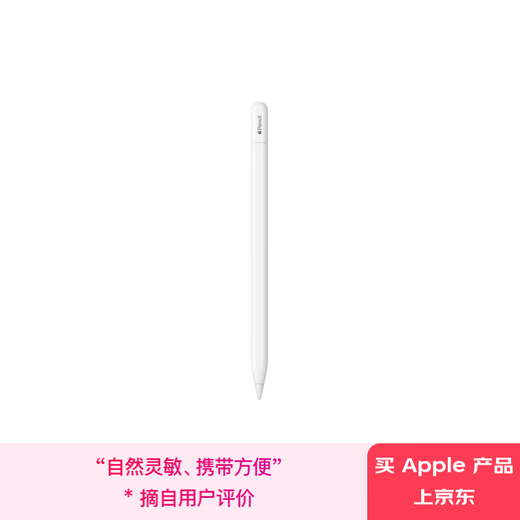 Apple/苹果 Pencil(USB-C) 磁吸触控笔手写笔苹果笔电容笔ipad笔 适用iPad 11/mini/Pro/Air