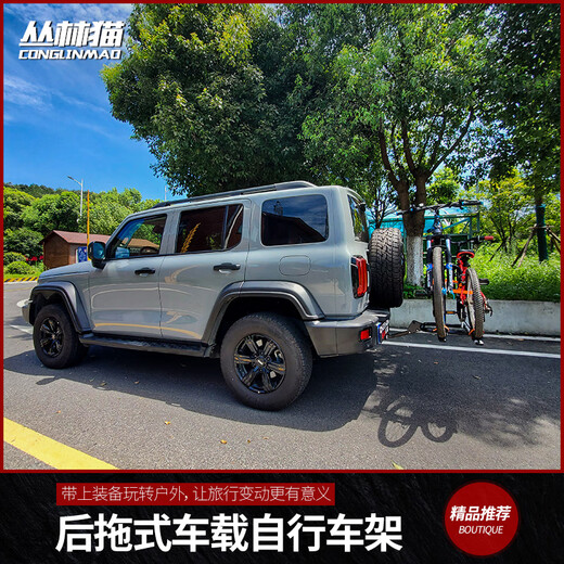 挂必天汽车后挂架自行车架汽车自行车架后挂架坦克300越野车suv房车轿车 拖赢方口自行车架