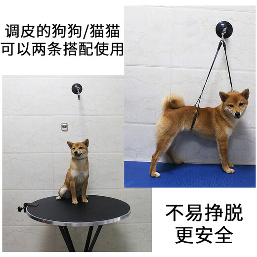 Suican pet grooming sling, lanyard, suction cup, grooming table, wire sling, dog shaving and bathing, fixed, anti-falling rope, suction cup wire model, recommended 30 Jin Jin equal to 0.5 kg, 1 beauty sling