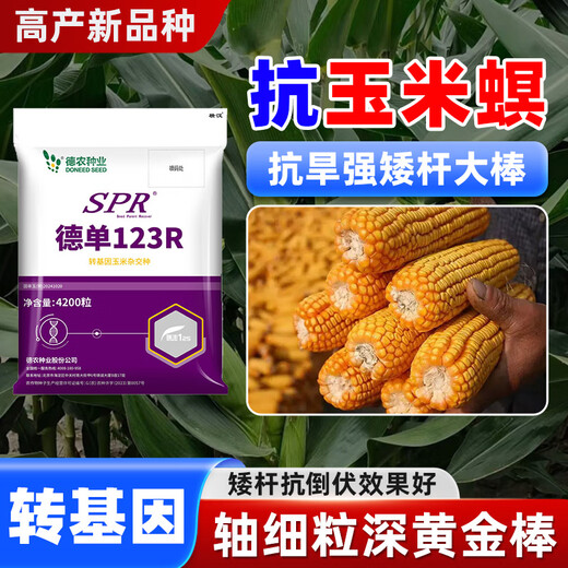 壮汉转基因高产玉米种子抗倒抗旱大棒抗虫矮杆封顶性好高净度苞谷种 转基因抗虫高产【3950粒】封顶好