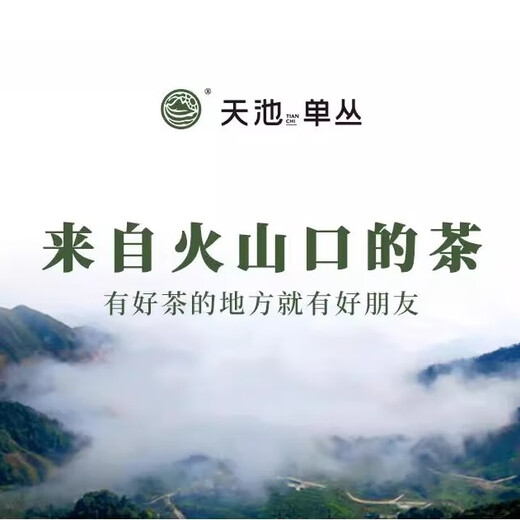 1392 Tianchi Tea Industry Authentic Chazhou Phoenix Dancong Chun Classic Car. Caramel Milanxiang 125G Group Покупка оптовой Milanxiang 125G (отправьте 3 штуки для одиночной коллекции)
