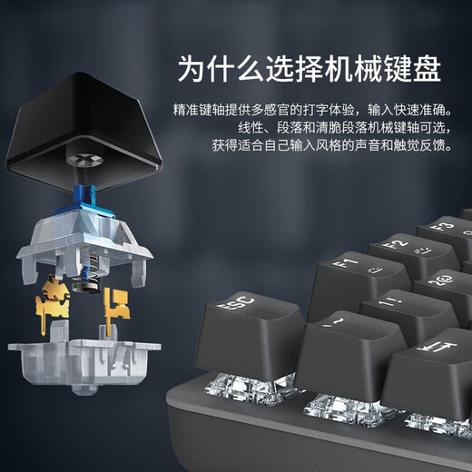 罗技（Logitech）K835键盘/K845键盘G102游戏鼠标有线游戏键鼠套装办公 k835粉/红轴+G102白 99成新