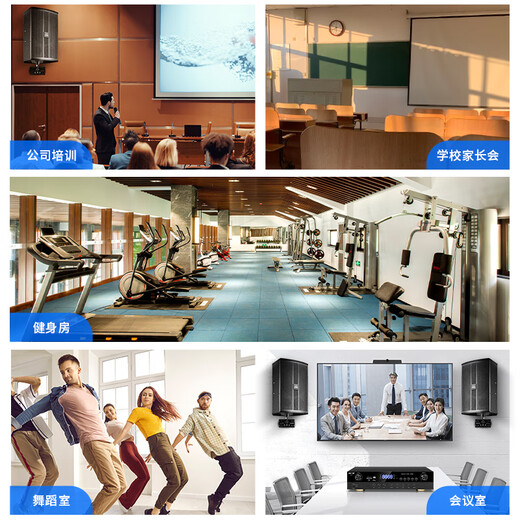 先科 会议室音响套装组合家庭KTV背景音乐培训会议专用设备蓝牙功放壁挂式音箱VD-201/K3V/M-17