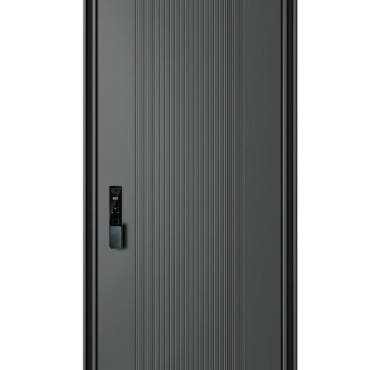 帝卡西DKX-万象更新2050*960防盗门安全门入户门智能门轻奢户门