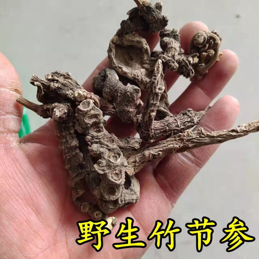 Beijing Tongrentang Bambú salvaje Ginseng Bambú Pintura de montaña Bambú Siete Bambú Panax Notoginseng Arhat Panax Notoginseng Medicina de hierbas chinas Bai San Wild Bamboo Ginseng 50G