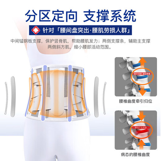 ZEAMO Japanese medical grade waist support belt, lumbar disc herniation, low back pain, lumbar muscle strain, sedentary artifact for men and women
