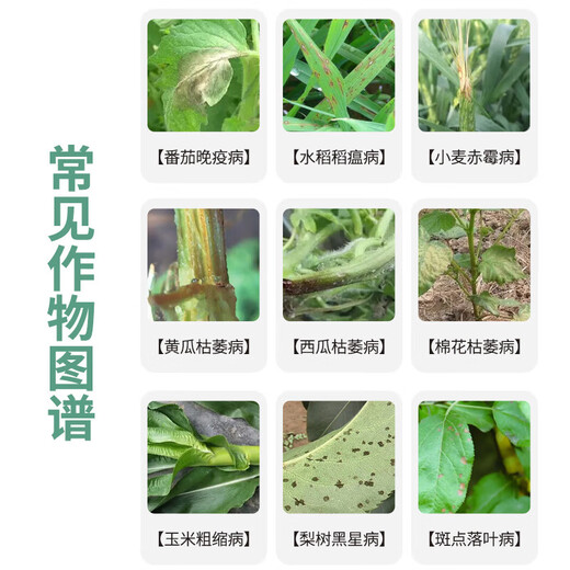 Bonsec 5% amino oligosaccharide vegetable tomato tomato pepper tobacco pepper mosaic virus disease pesticide inducer