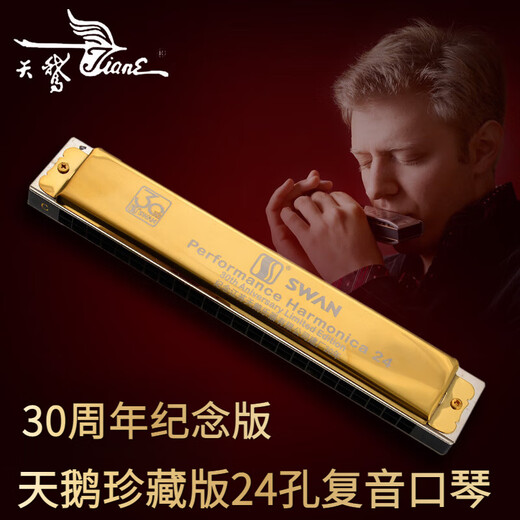 天鹅进口音簧24孔复音口琴ABCDEFG调成人专业演奏级乐器 24孔复音口琴 F调