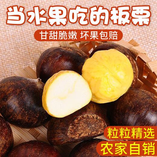 Jingmi Hebei Qianxi fresh chestnut net weight 2Jin Jin is equal to 0.5kg large grains (the size of a one yuan coin) sent directly from the source package