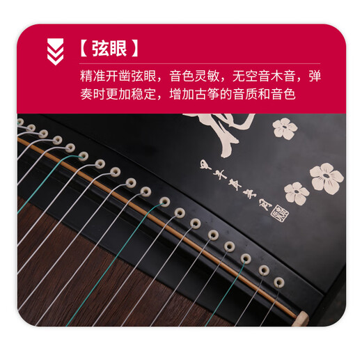 音域（RANGE）初学者入门演奏考试级古筝民族弹拨乐器+琴凳全套配件