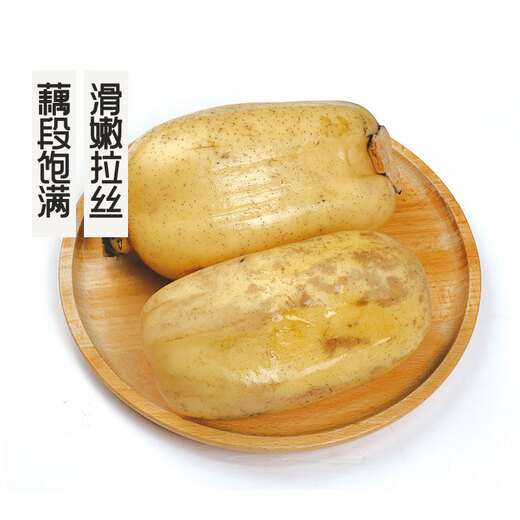 GAP certified seasonal fresh crispy lotus root 500g