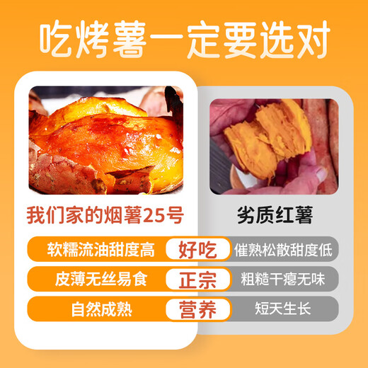 Jingxian Raw Tobacco Potato No. 25 Sweet Potato Net Weight 4.5Jin Jin is equal to 0.5kg Single Fruit 50g+ Candied Sweet Potato Roasted Sweet Potato Whole Grain Straight from the Source