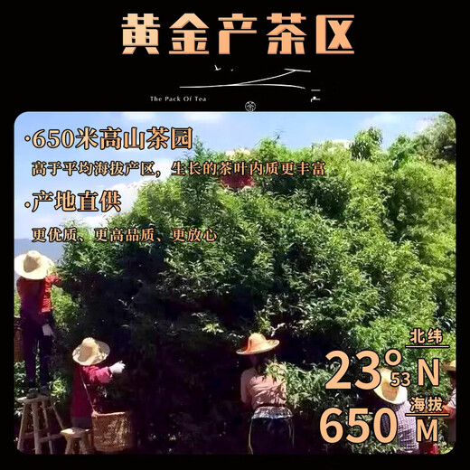 正山顶乌龙茶顶香凤凰单枞鸭屎香特级500g中火礼盒装茶叶品味品质正宗