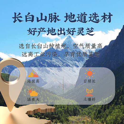 DAC Sheng Ganoderma lucidum Spore Powder Head Head Daoist Changbaishan Ganoderma lucidum Spore 90 г/бутылка лекарственные стандарты, беспокойство, бессонница, дефицит тела и простуда, та же модель для аптеки, 3 банки (90GX3)