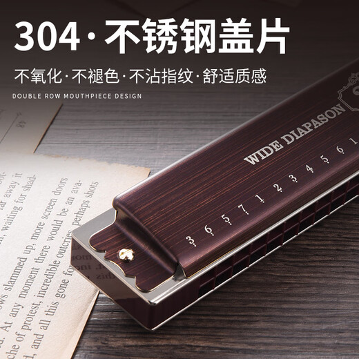 天鹅德国进口音簧高端28孔复音重音口琴初学者成人专业演奏级乐器 28孔 专业演奏复音C调 浅木色 【带音标】+礼包