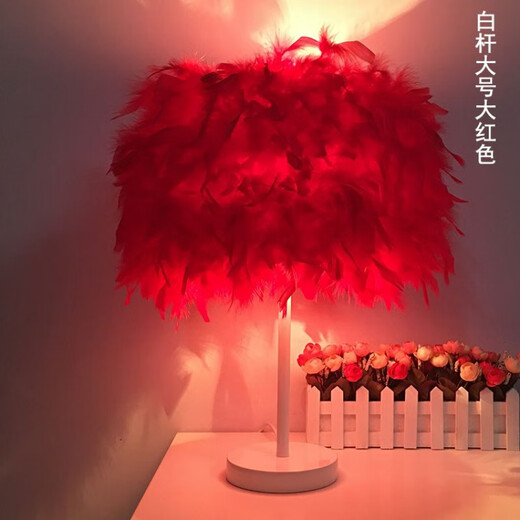 曜添创意简约欧式羽毛台灯卧室床头公主婚房温馨LED生日礼物玫瑰台灯 中号白杆桃红色羽毛 调光开关