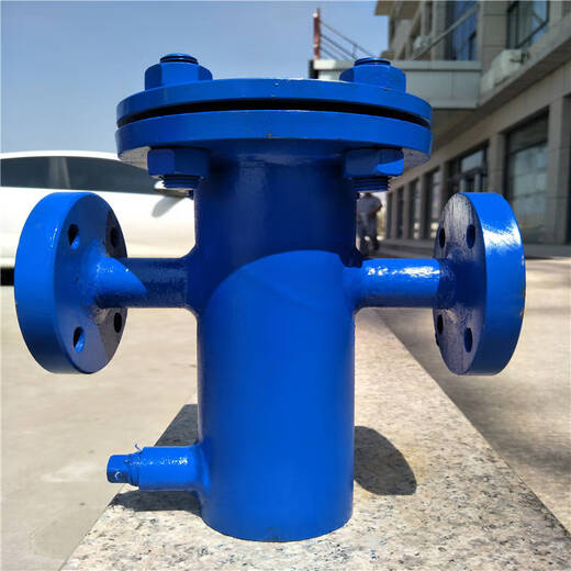 Shourunheng straight-through basket filter DN100-16C